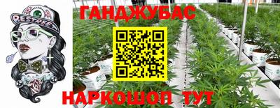 a pvp Гусев