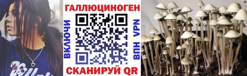 Псилоцибиновые грибы мухоморы  купить наркотики цена  Зерноград 
