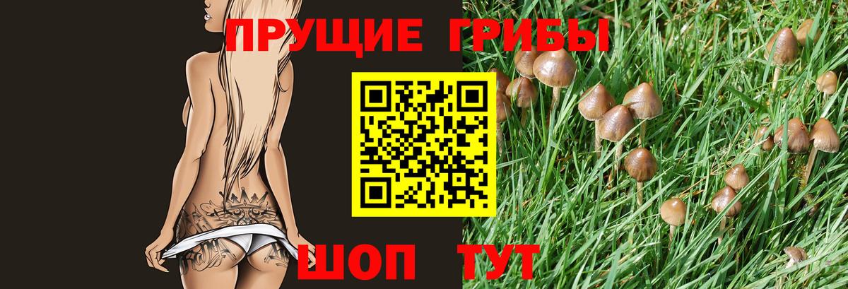 Галлюциногенные грибы мицелий  Галлюциногенные грибы GOLDEN TEACHER  Вход с VPN  Зерноград 